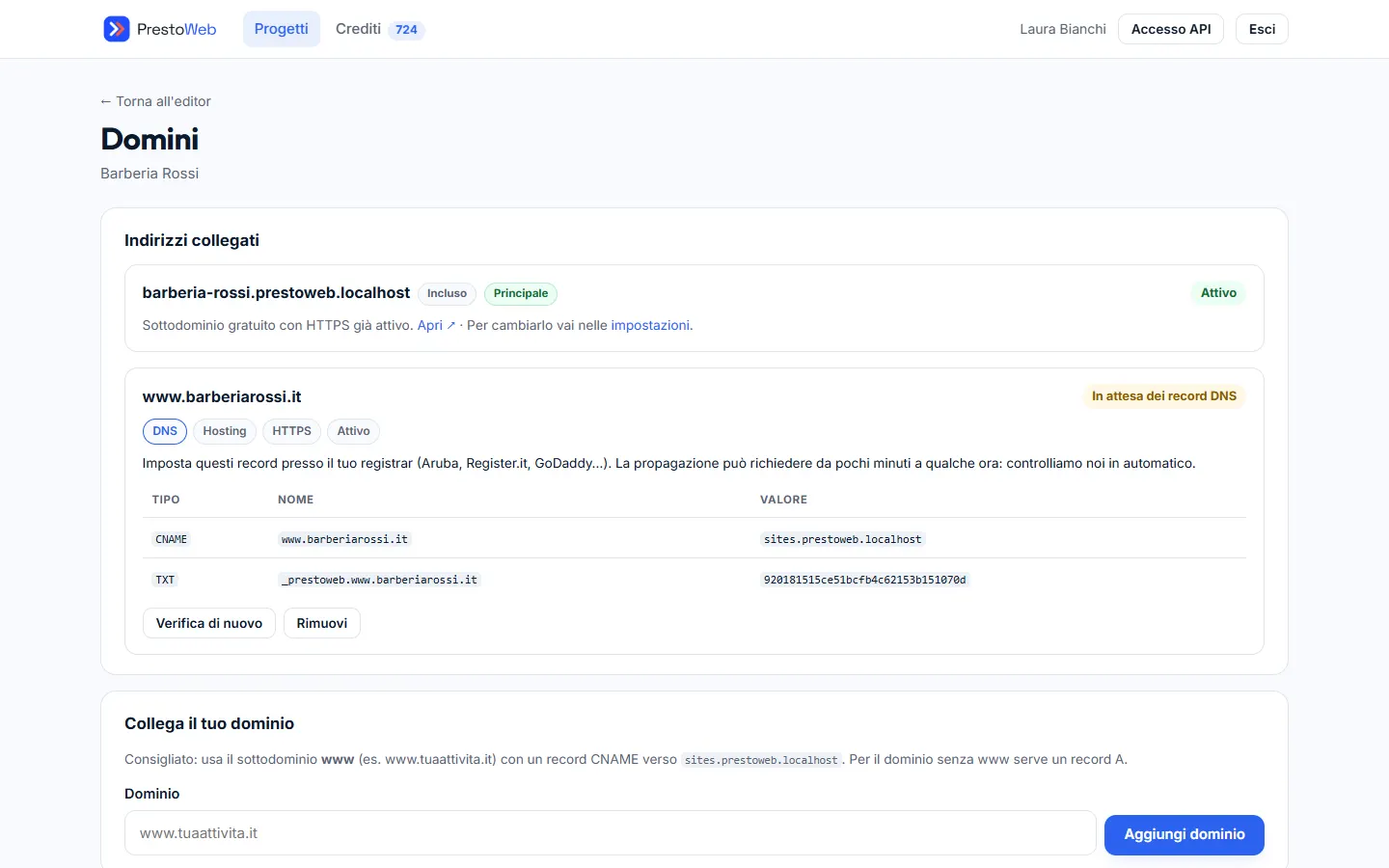 Pagina Domini con i record DNS da impostare